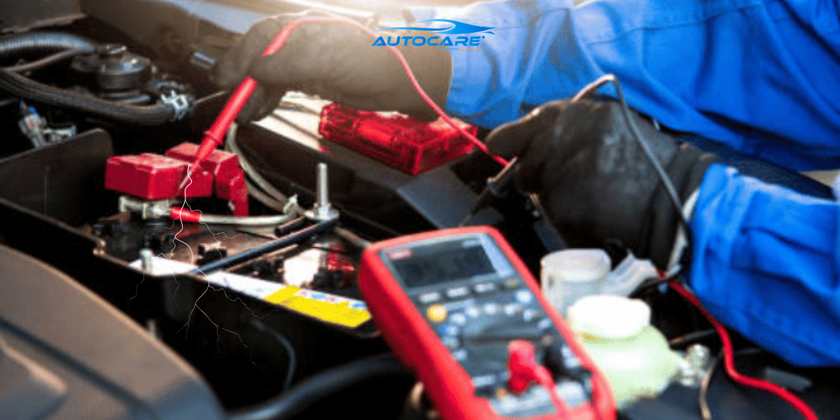 Bao duong he thong dien o to de phong ngua hong hoc do chuot