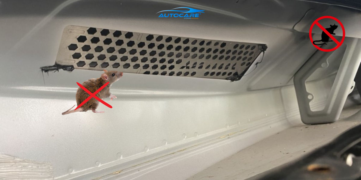 Cach ve sinh khoang may o to dinh ki che chan