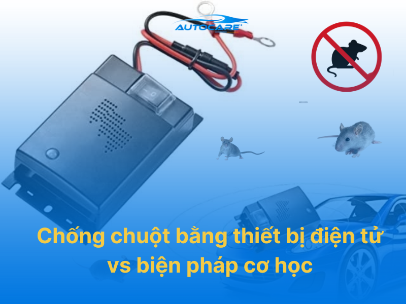 Chống chuột bằng thiết bị điện tử vs biện pháp cơ học