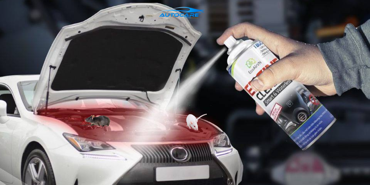 Chong chuot dang xit cho o to cach