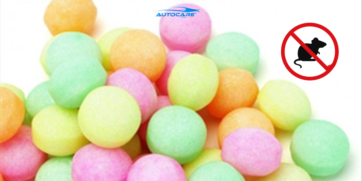 Chong chuot dang xit cho o to long nao