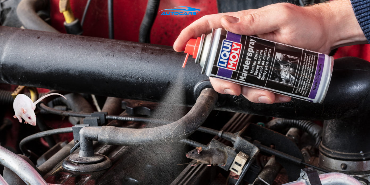 Chong chuot dang xit cho o to trong khoang