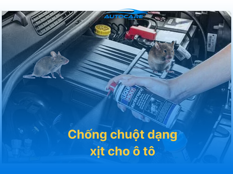 Chống chuột dạng xịt cho ô tô
