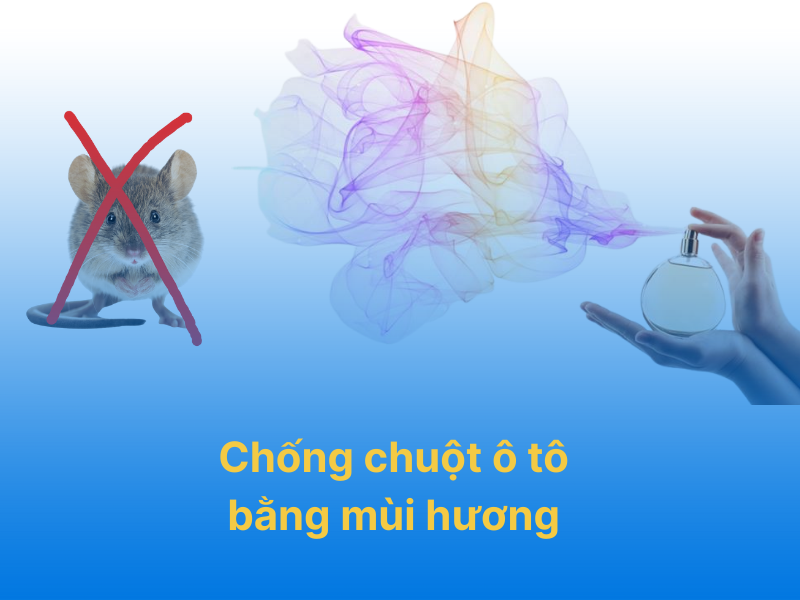 Chống chuột ô tô bằng mùi hương xe hơi