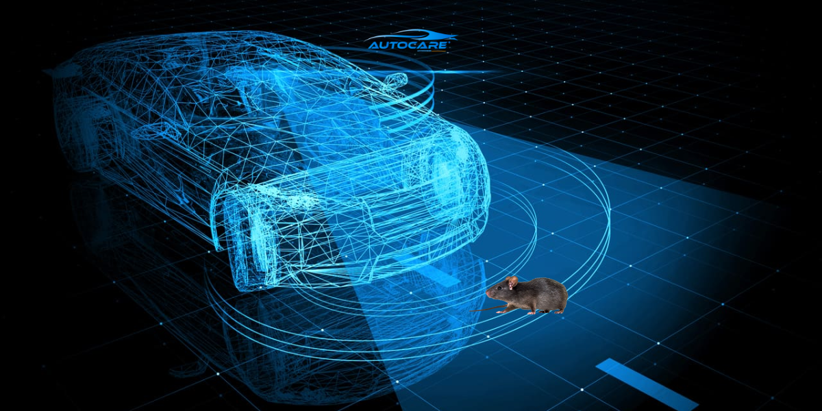 Danh gia chi tiet may duoi chuot o to OEM tim chuot