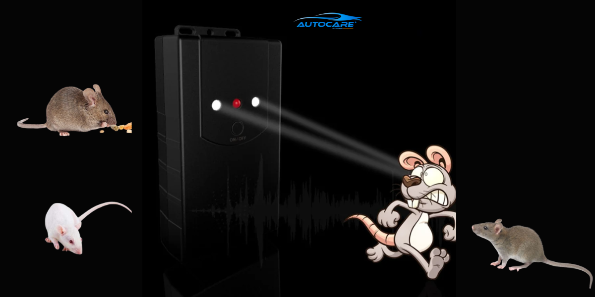 Danh gia chi tiet may duoi chuot o to OEM