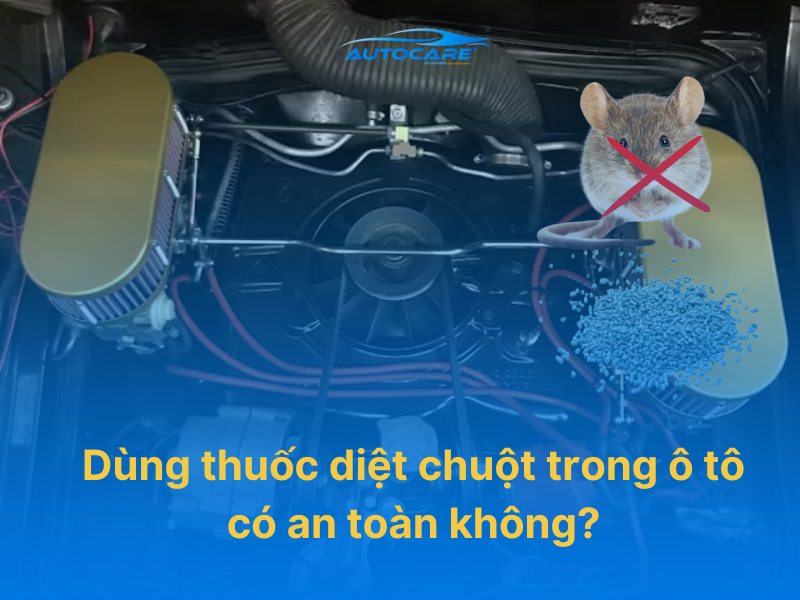 Dùng thuốc diệt chuột trong ô tô có an toàn không