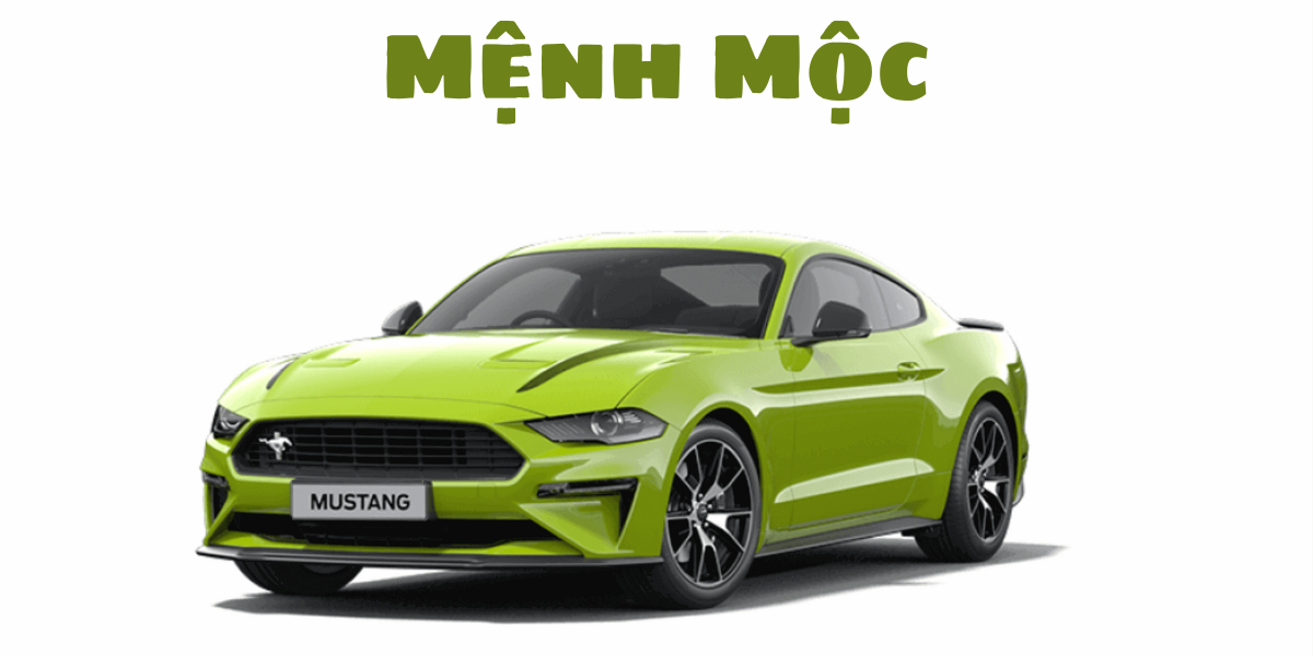 Khanh treo xe menh moc phong thuy