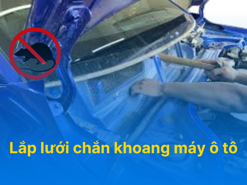 Lắp lưới chắn khoang máy ô tô