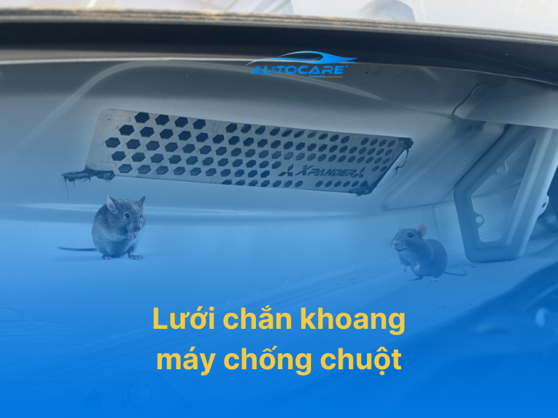 Lưới chắn khoang máy chống chuột