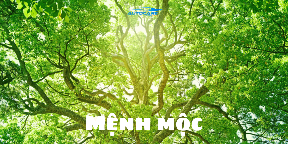 Menh Moc nen de gi trong xe cho may man