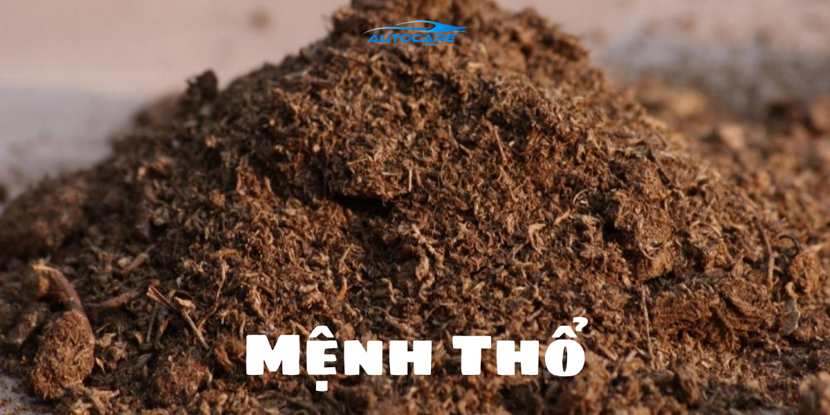 Menh Tho nen de gi trong xe de may man