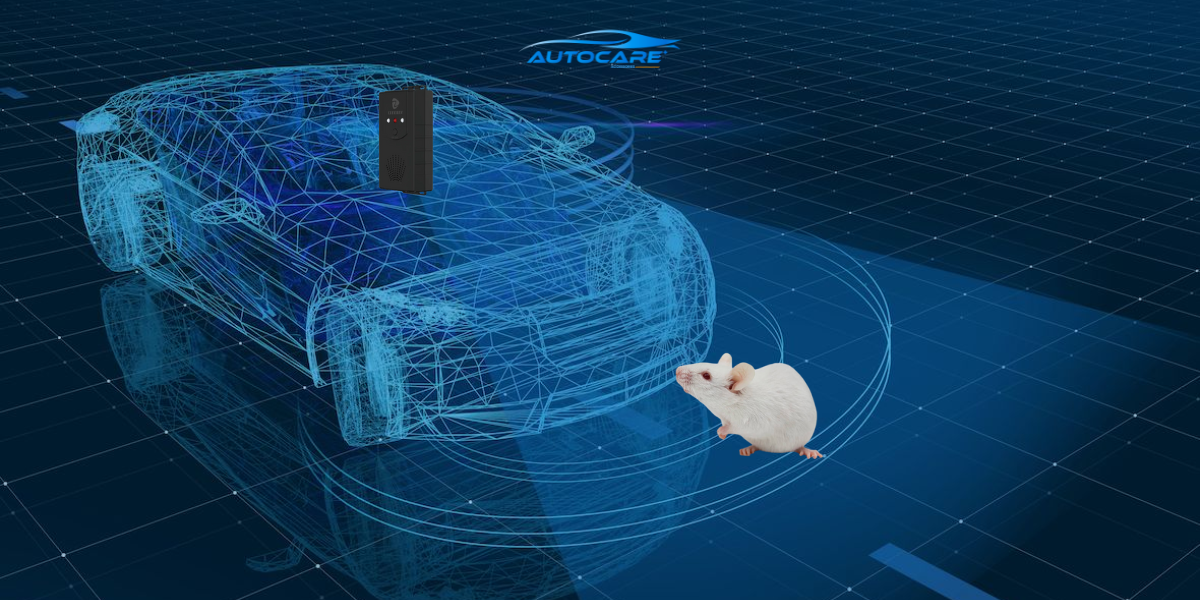 Meo dan gian duoi chuot o to song sieu am