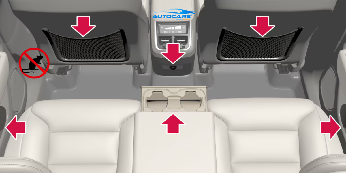 Meo dan gian duoi chuot o to vi tri dat