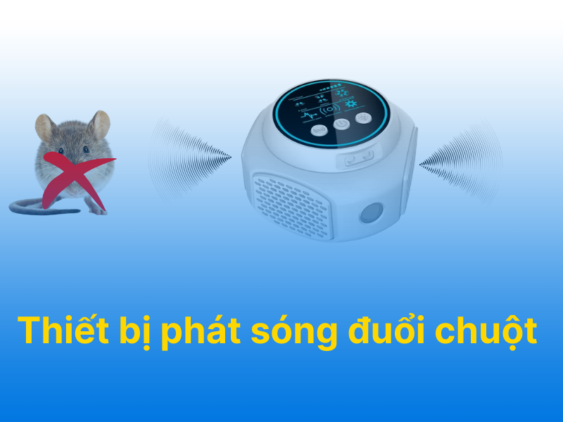 Sử dụng thiết bị phát sóng siêu âm đuổi chuột cho ô tô