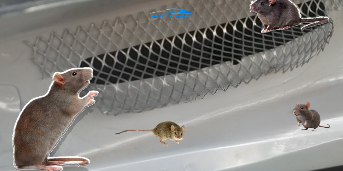 Tam chan khoang may o to