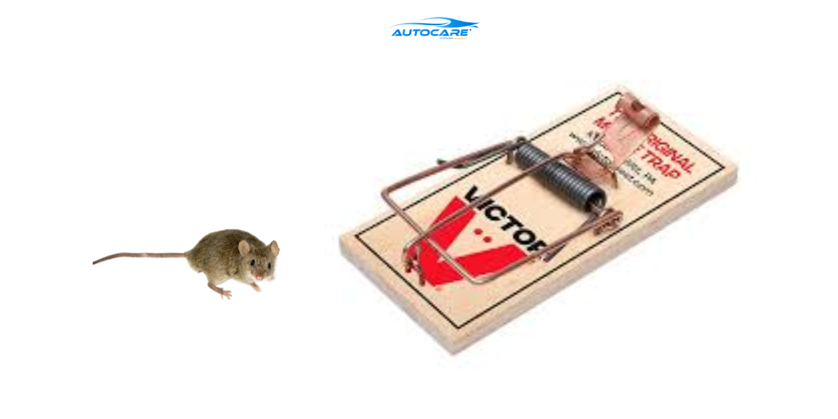 Bẫy chuột ô tô