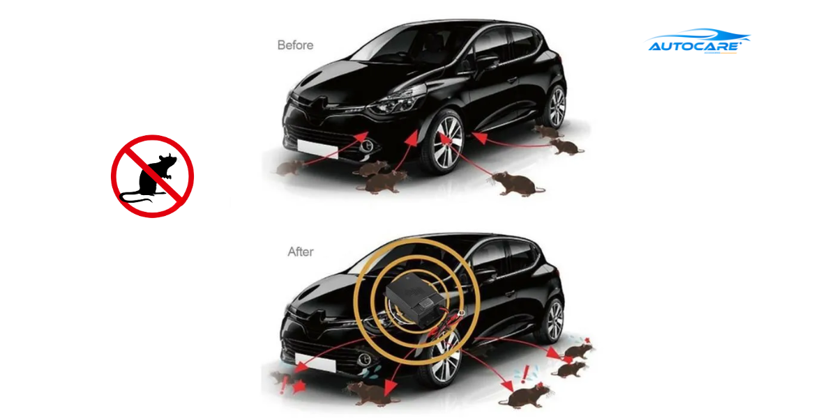 cach lap may duoi chuot sieu am cho o to tai nha tien loi