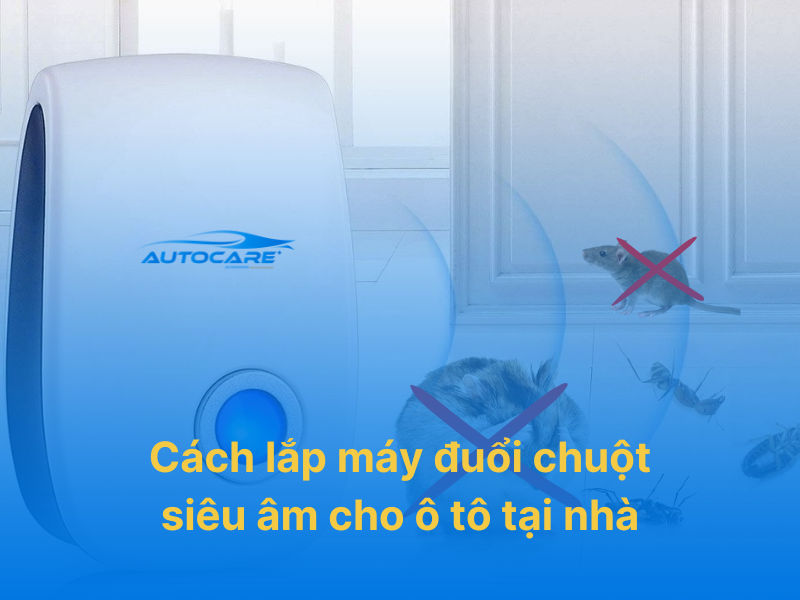 cách lắp máy đuổi chuột siêu âm cho ô tô
