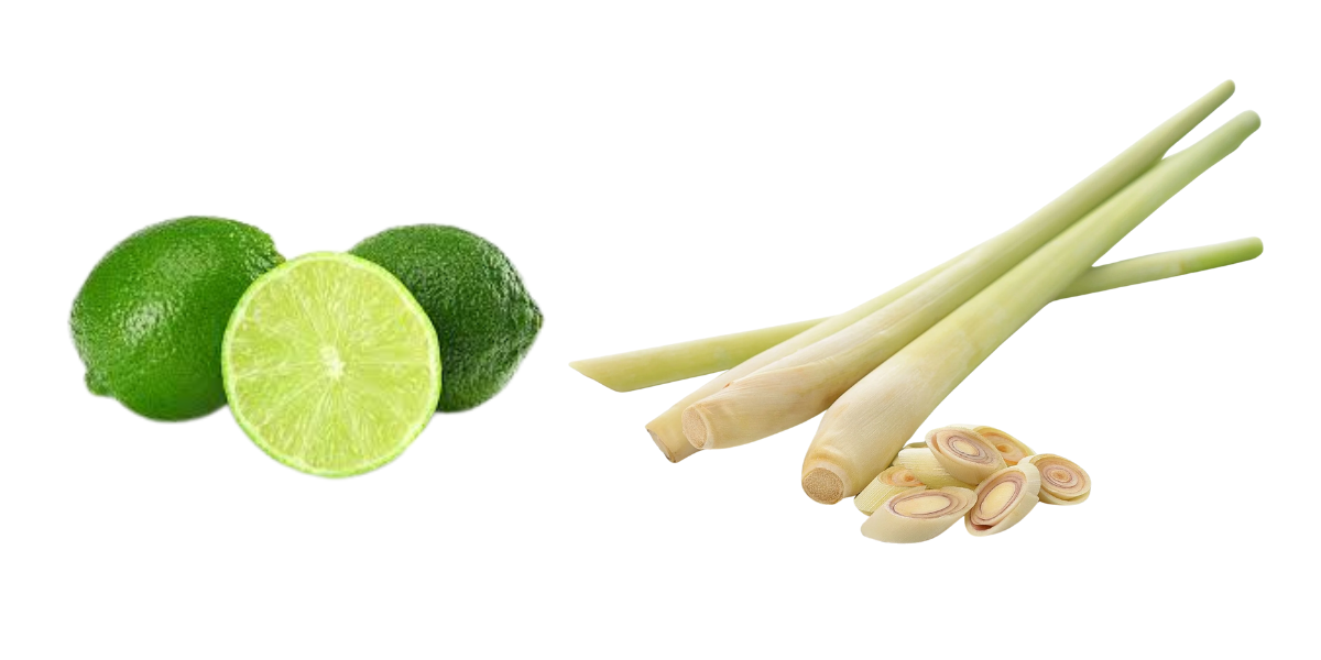 chong chuot bang mui huong chanh sa