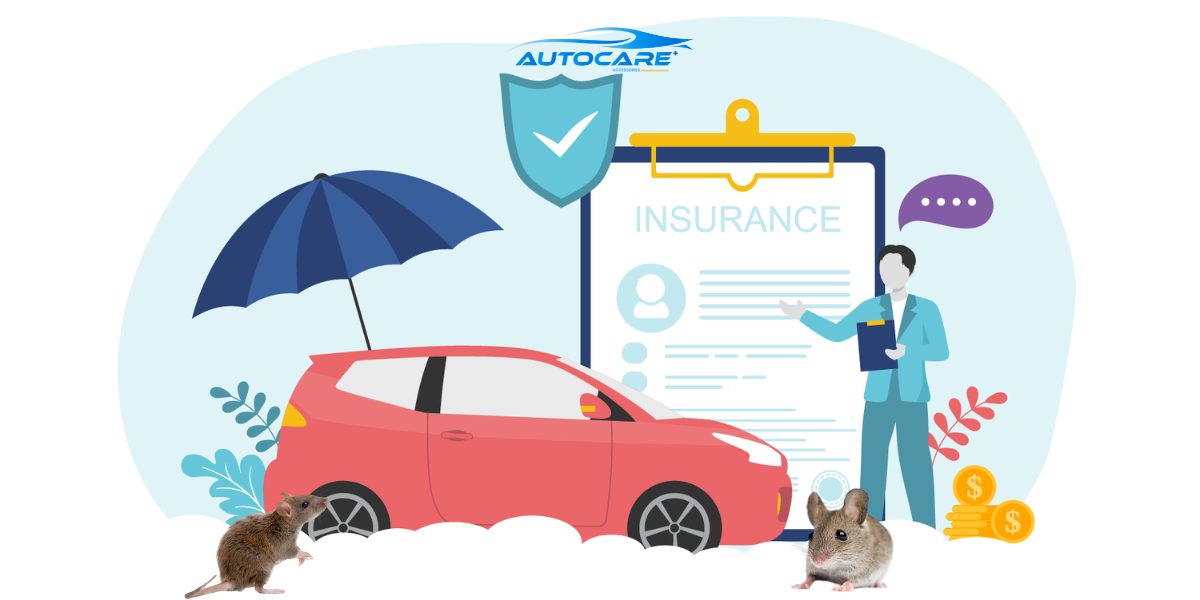 chuot can xe o to bao hiem co den khong