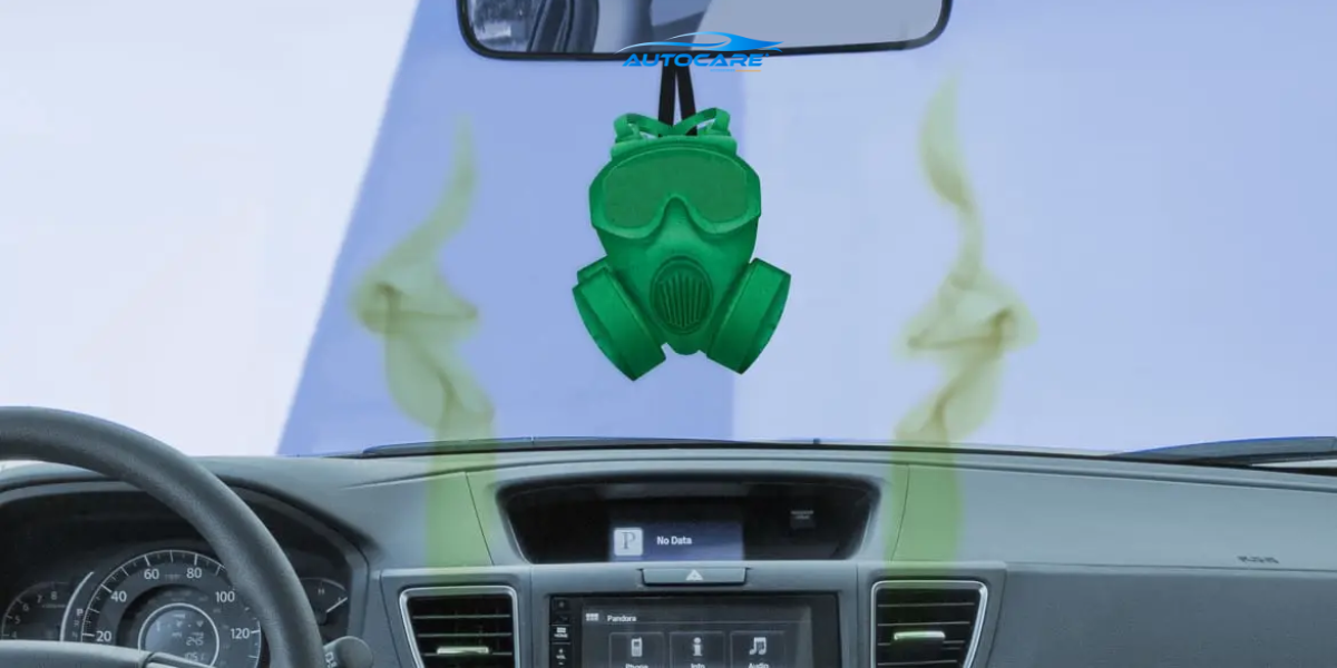 Chuột gây mùi hôi khó chịu