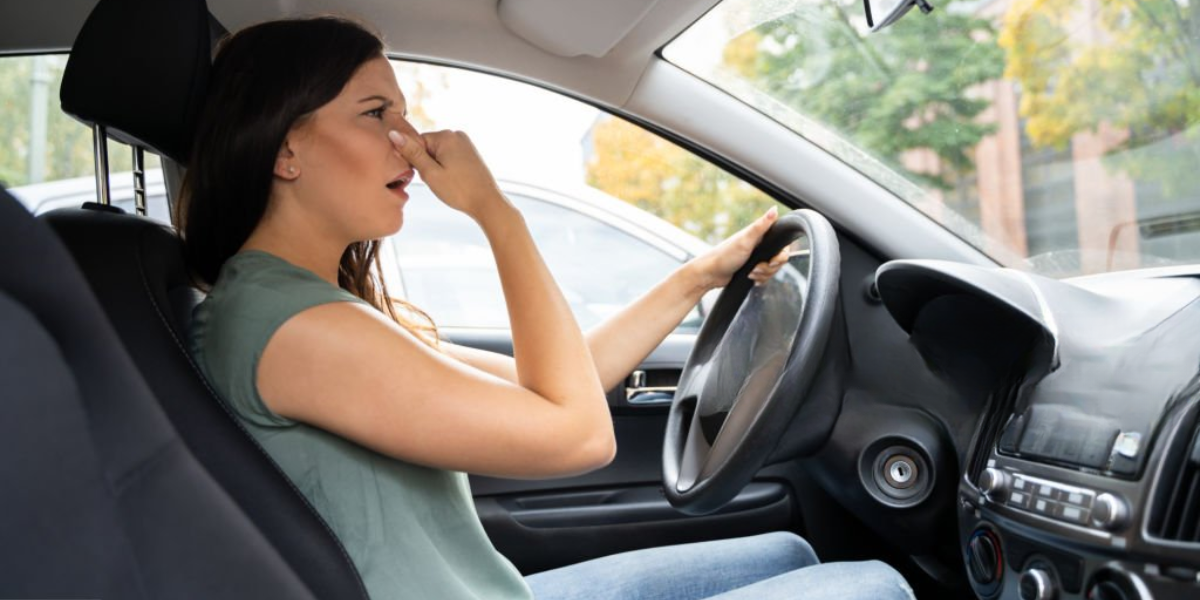 Mùi hôi từ tổ chuột trong khoang máy