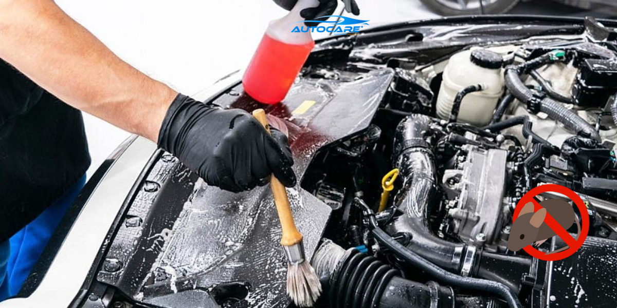 duoi chuot bang song sieu am