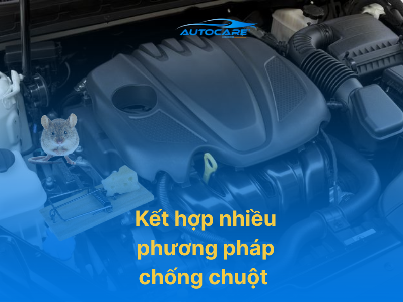 kết hợp nhiều phương pháp chống chuột