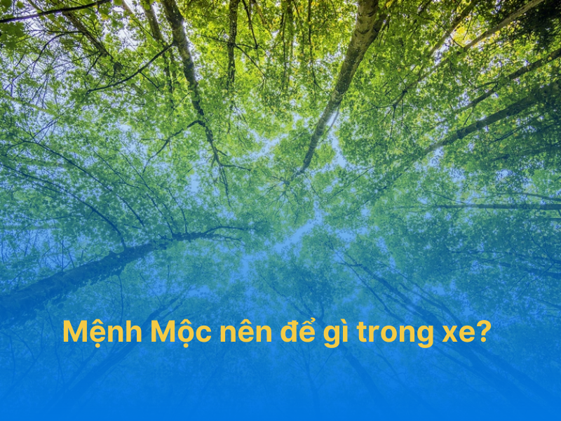 mệnh mộc nên để gì trong xe
