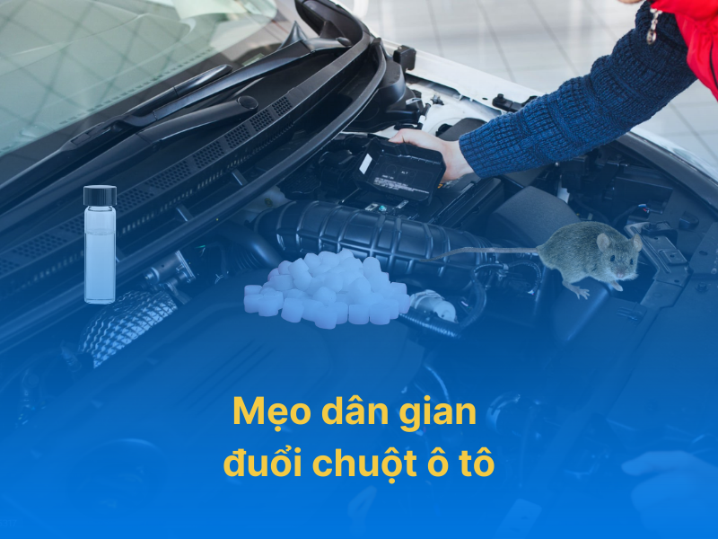 mẹo dân gian đuổi chuột trong xe hơi