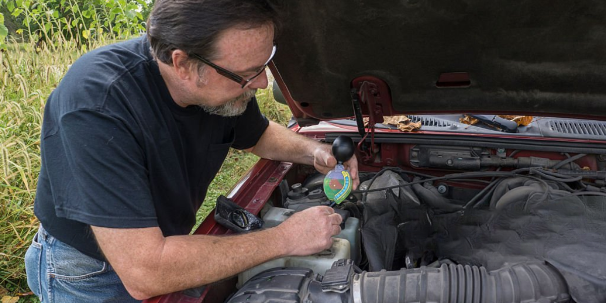 Mẹo dùng bẫy tinh dầu bạc hà và long não đuổi chuột trong ô tô