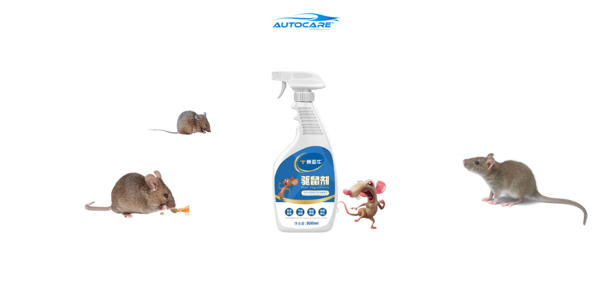 san pham chong chuot o to binh sit