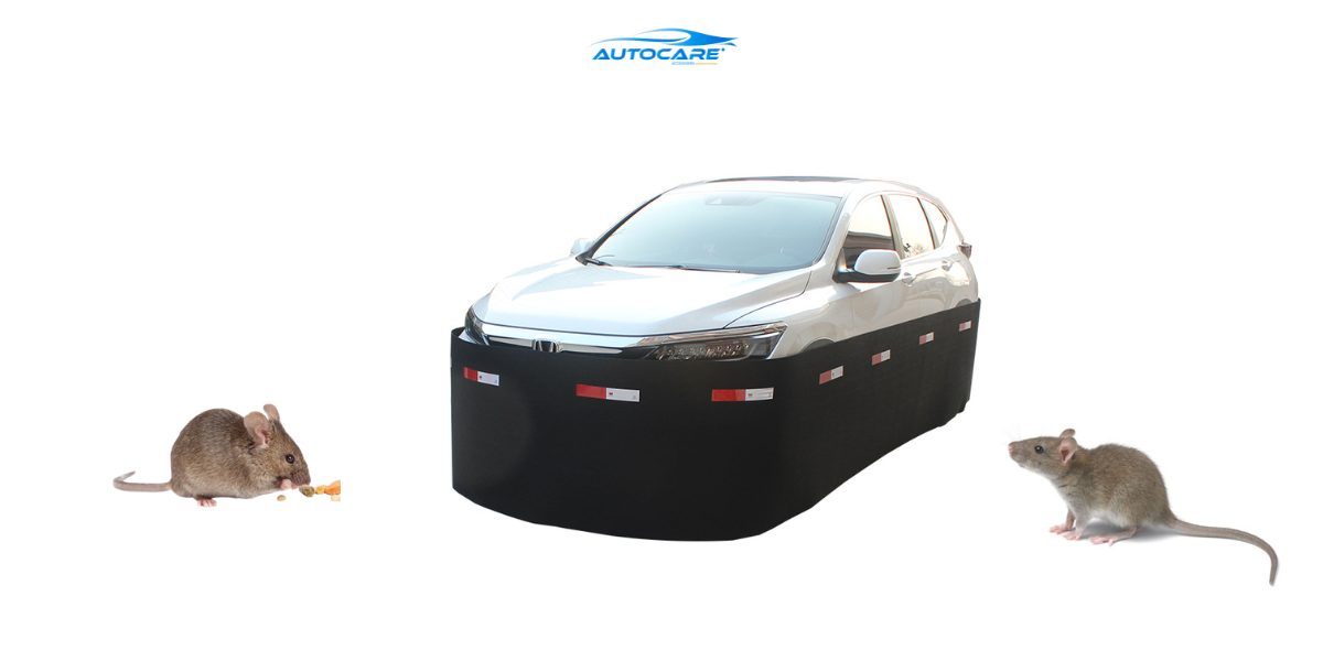 san pham chong chuot o to rao chan