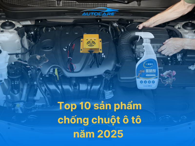 sản phẩm chông chuột ô tô