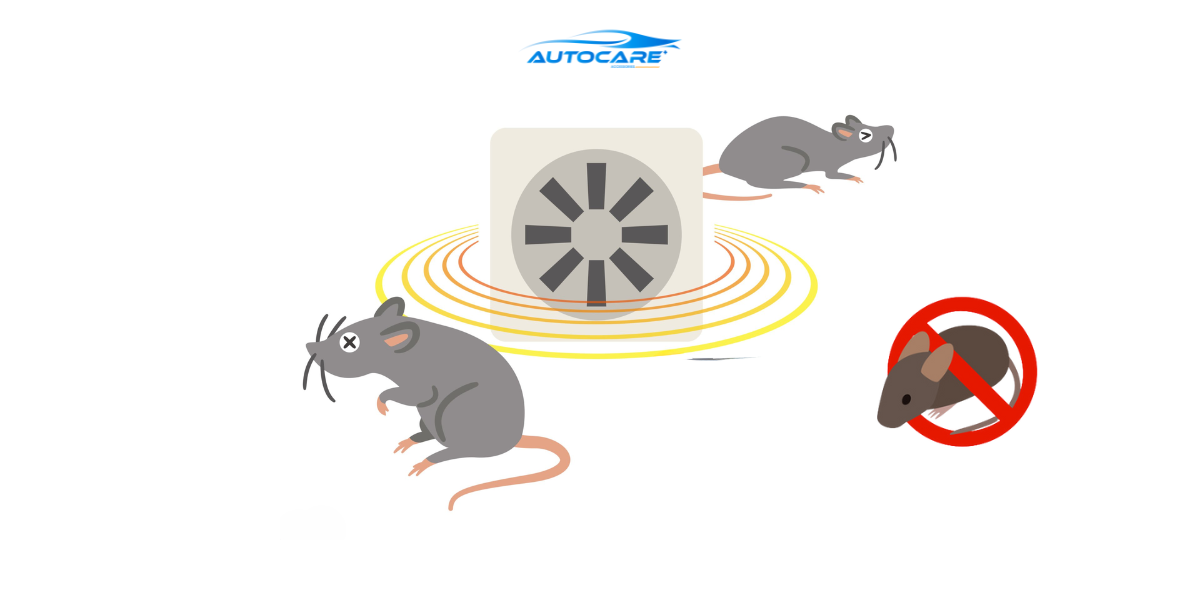 thiet bi bao ve khoang may o to