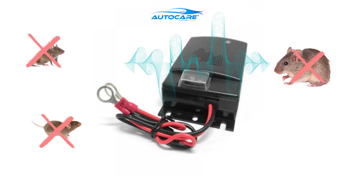 thiet bi chong chuot bao lau nen thay