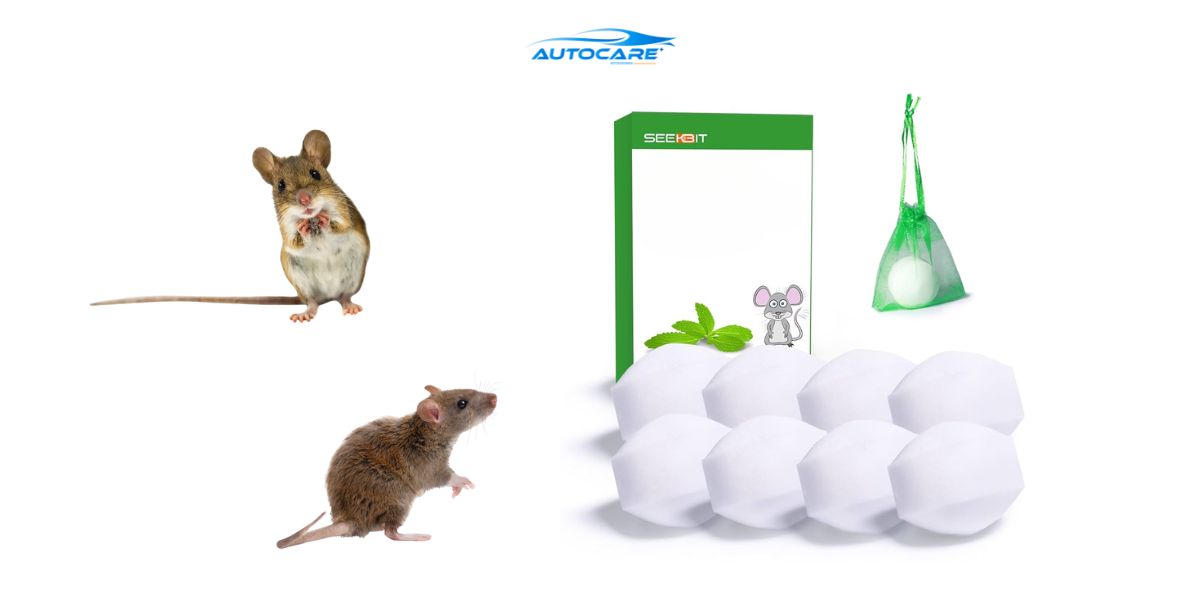 Băng phiến xua chuột