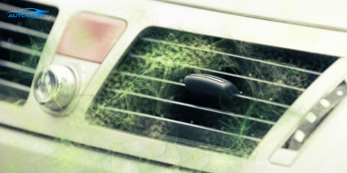 Dấu hiệu chuột trong xe ô tô