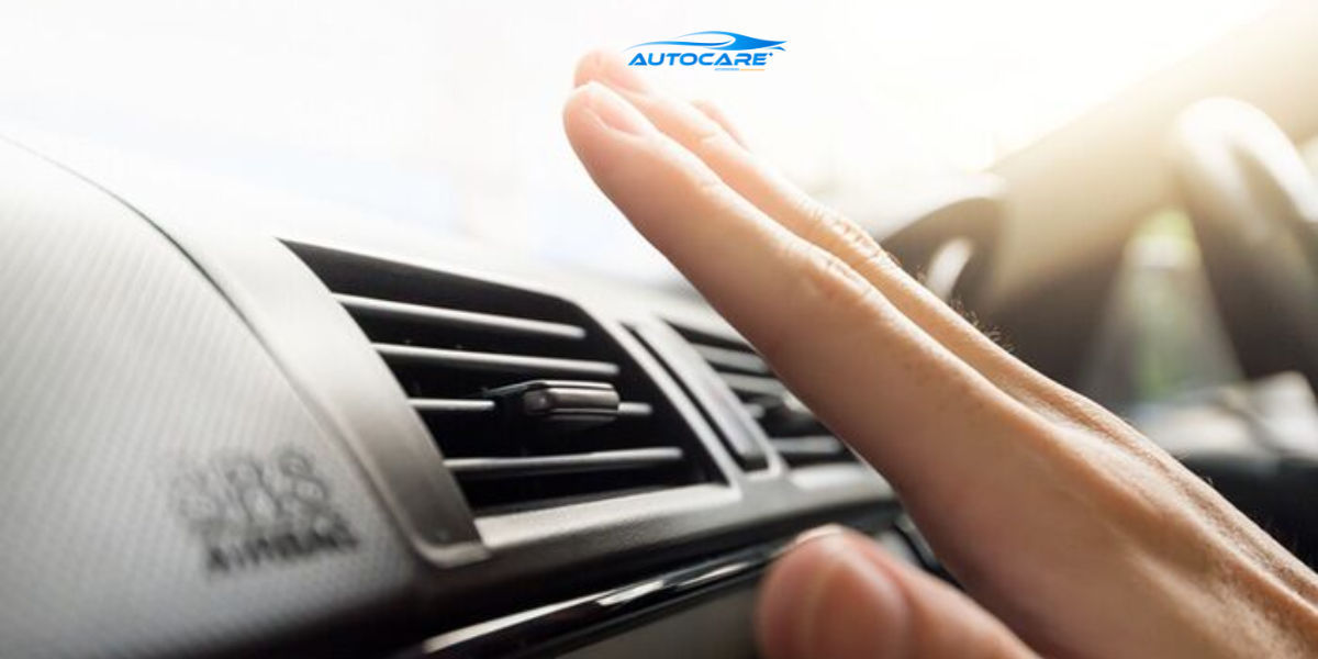 Chuột phá hỏng quạt gió điều hòa