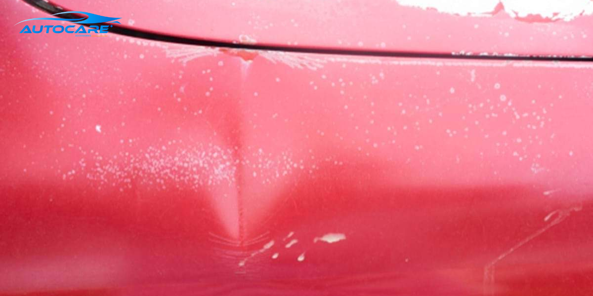 Co nen dung son xit che xuoc cho o to tai nha