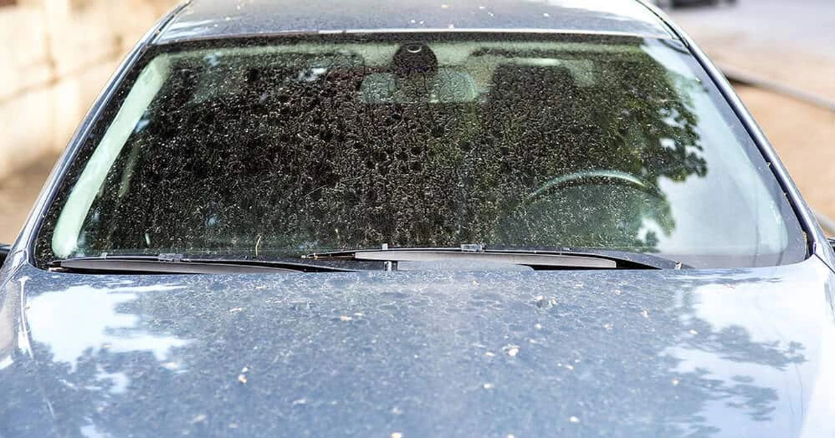 top phụ kiện dành ô tô vào ngày mưa