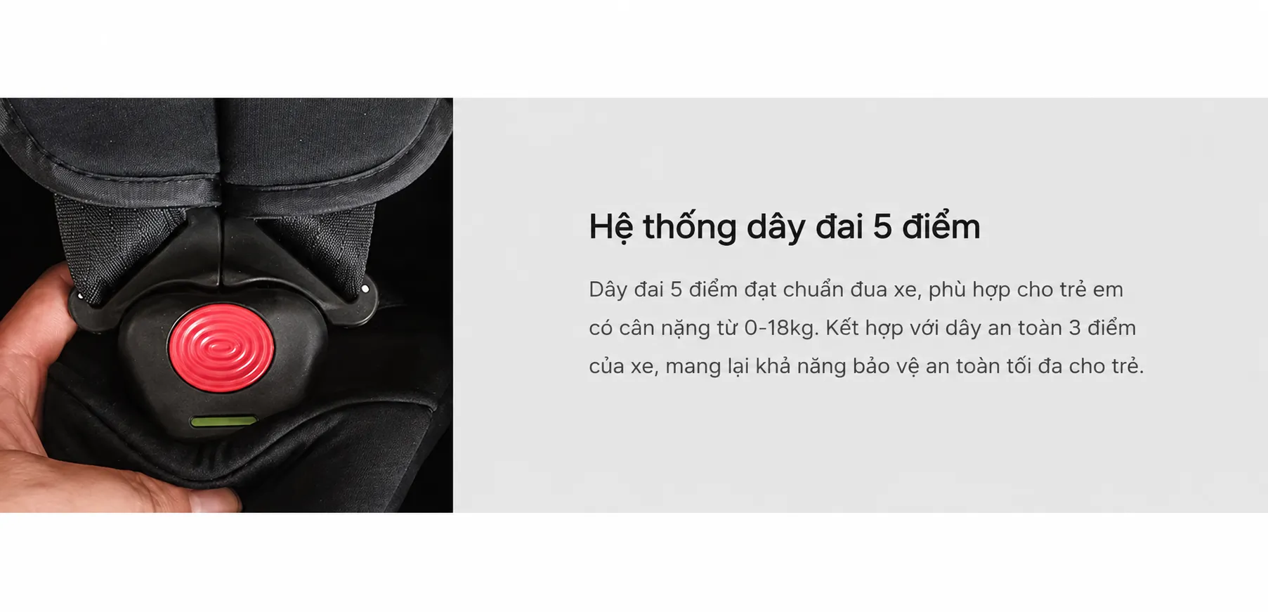 Ghe O To Cho Be Tu 0 4 Tuoi – Chuan ECE R4404 Chau Au3